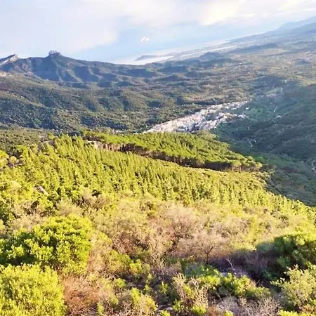 Domu Irene - Apartment *